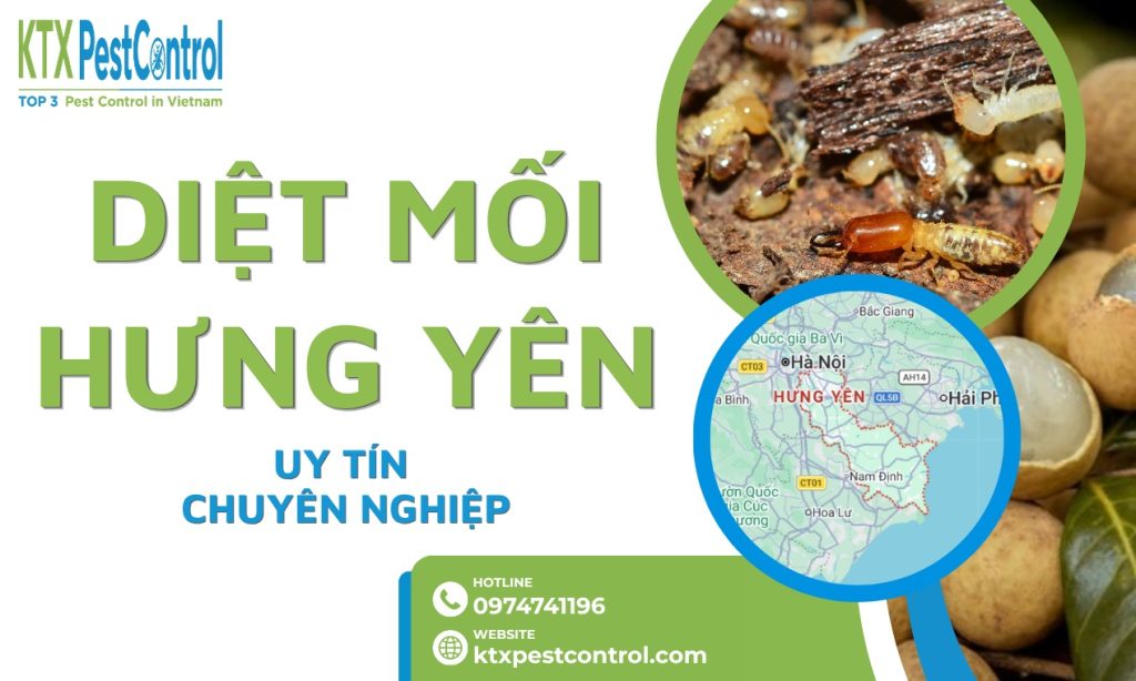 Diệt mối tại Hưng Yên uy tín, chuyên nghiệp, bảo hành 1–5 năm