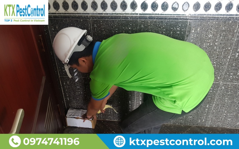 Kỹ thuật viên của KTX đang đặt hộp nhử mối tại góc tường nhà