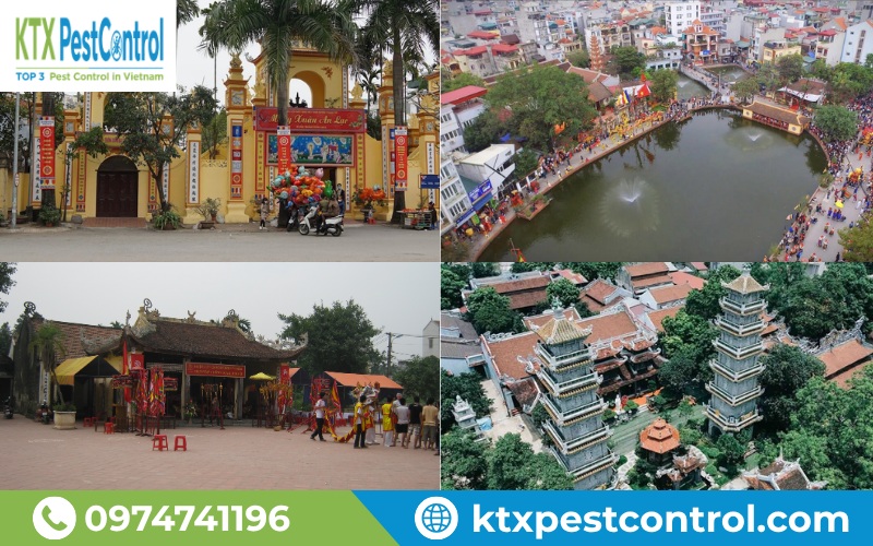 Diệt Côn Trùng KTX cung cấp dịch vụ diệt mối Thanh Trì tận gốc, uy tín