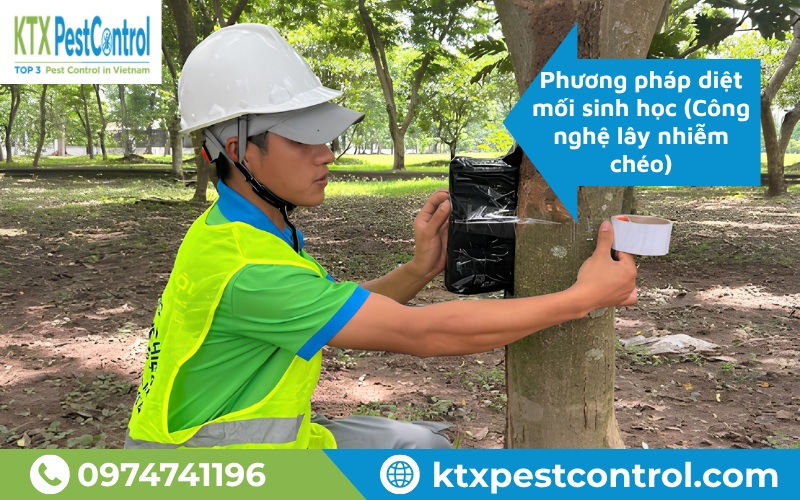 Kỹ thuật viên tiến hành lắp hộp nhử mối sau khi chốt gói dịch vụ của KTX tại Thanh Trì