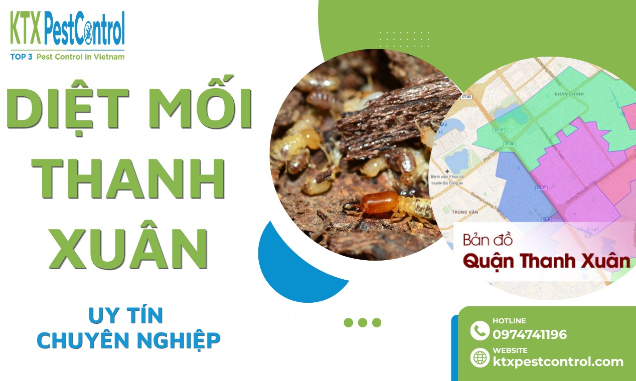 Dịch Vụ Diệt Mối Thanh Xuân Tận Gốc, Uy Tín 