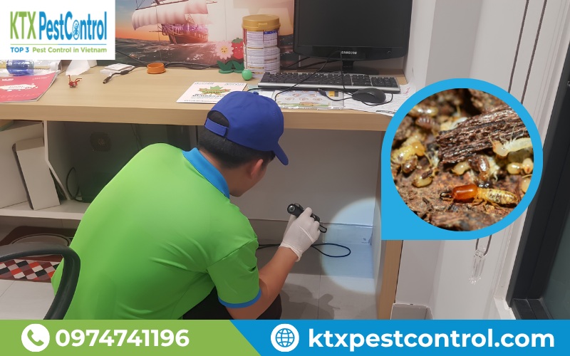 Kỹ thuật viên KTX khảo sát mối văn phòng tại Thanh Xuân