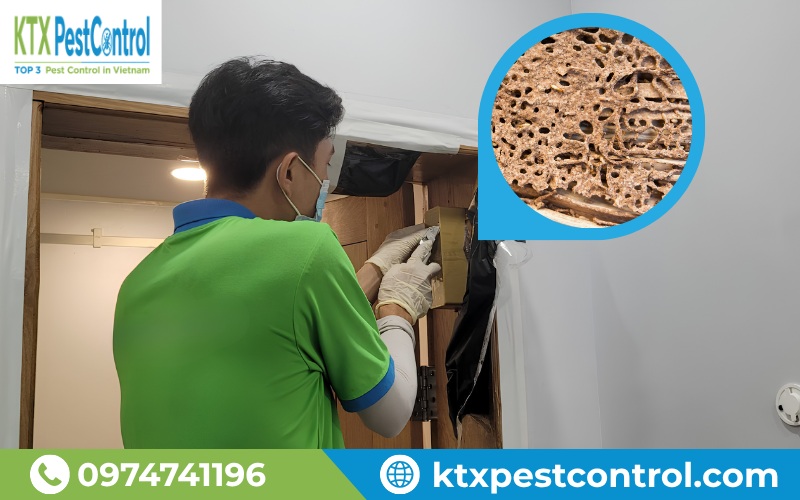 Dịch vụ diệt mối Thanh Xuân với khảo sát tận nơi, xử lý theo hiện trạng công trình và hỗ trợ bảo hành sau thi công.
