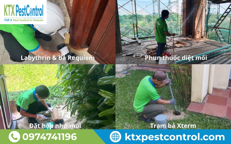 Các gói diệt mối của Diệt Côn Trùng KTX