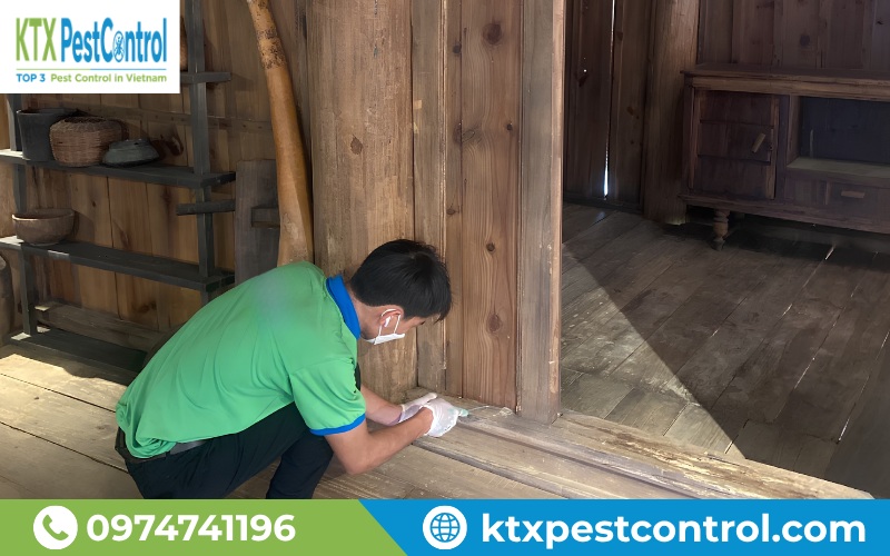 Diệt Côn Trùng KTX hướng đến giải pháp kiểm soát mối phù hợp với từng công trình