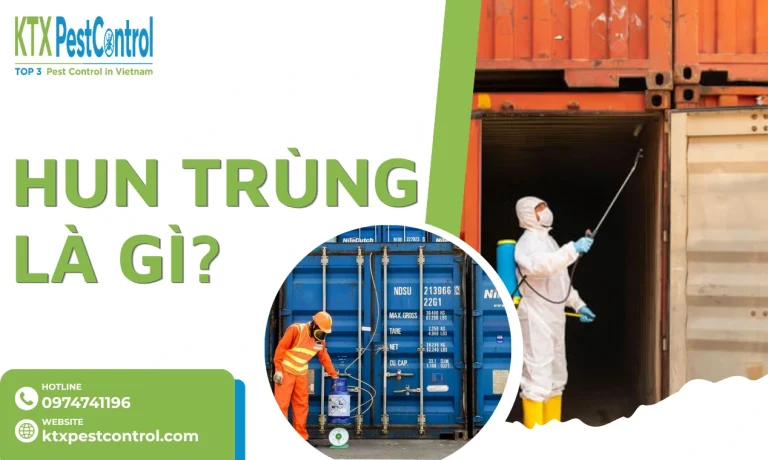 Hun Trùng Là Gì? Quy Trình Hun Trùng Hàng Xuất Khẩu