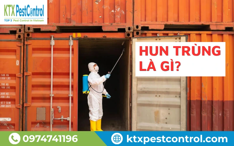 Hun trùng (Fumigation) là quá trình sử dụng hóa chất chuyên dụng để tiêu diệt côn trùng