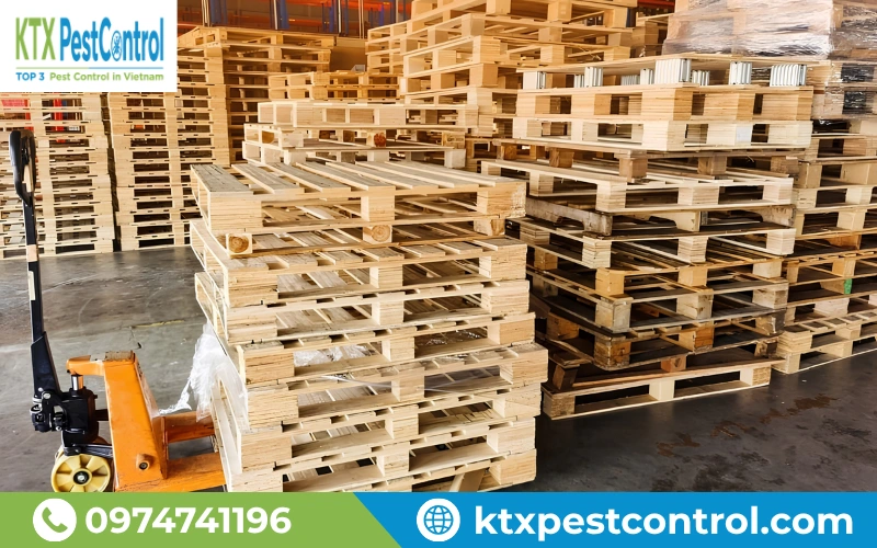 Dịch vụ hun trùng pallet gỗ, kiện gỗ và bao bì gỗ