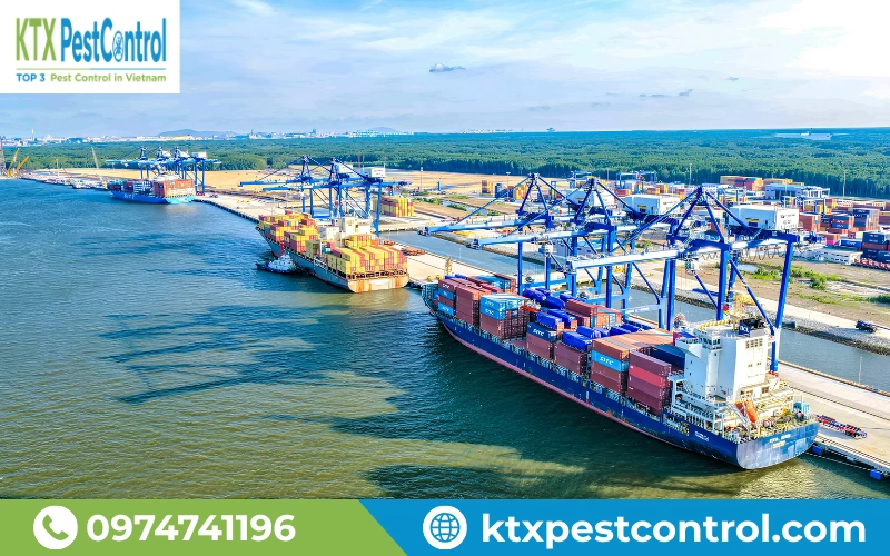 Dịch vụ hun trùng tàu biển và sà lan