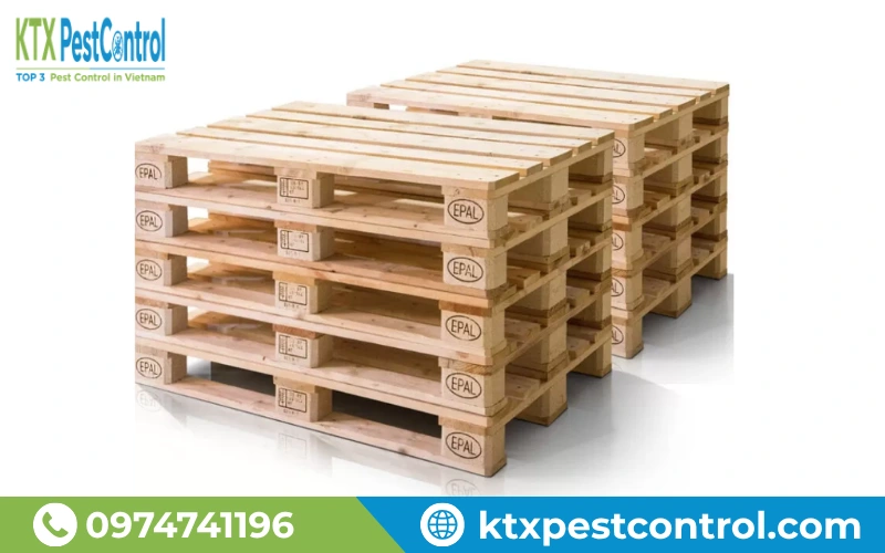 Pallet gỗ, kiện gỗ và bao bì gỗ là nhóm vật liệu thường được kiểm tra nghiêm ngặt trong thương mại quốc tế.