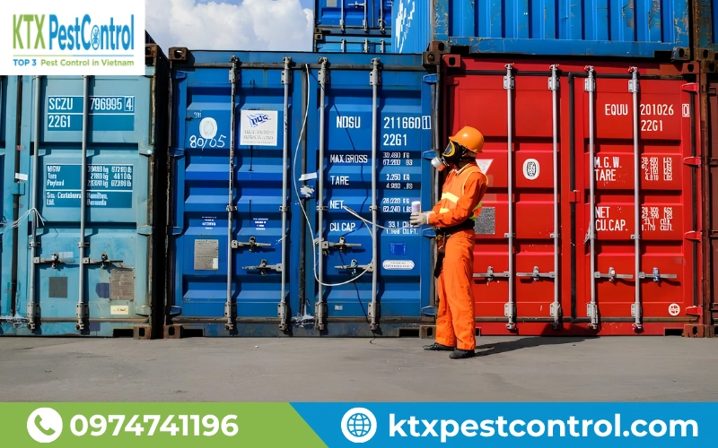 Container và các lô hàng theo yêu cầu của nước nhập khẩu