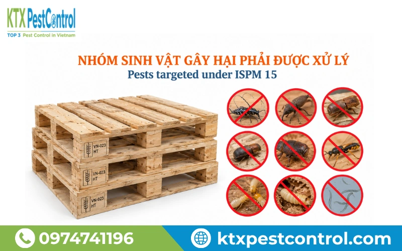 Nhóm sinh vật gây hại phải được xử lý