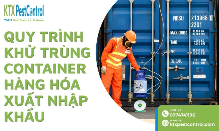 Quy Trình Khử Trùng Container Hàng Hóa Xuất Nhập Khẩu