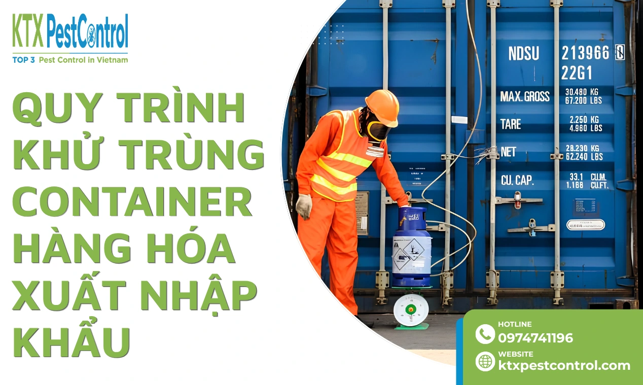 Quy Trình Khử Trùng Container Hàng Hóa Xuất Nhập Khẩu