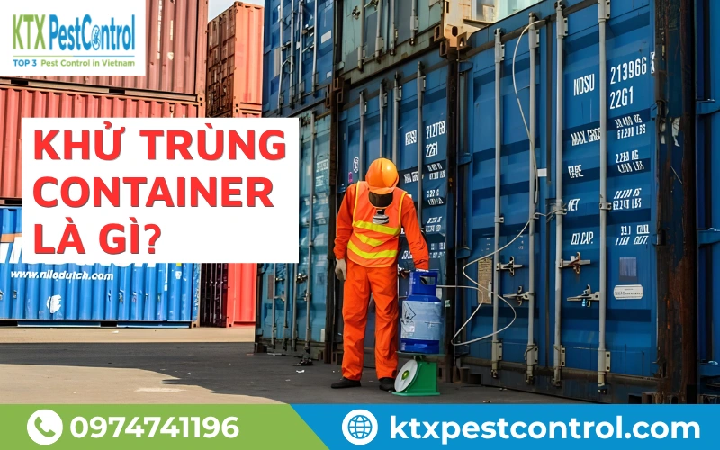 Khử trùng container nhắn loại bỏ có sinhn vật gây hại tới hàng hóa 