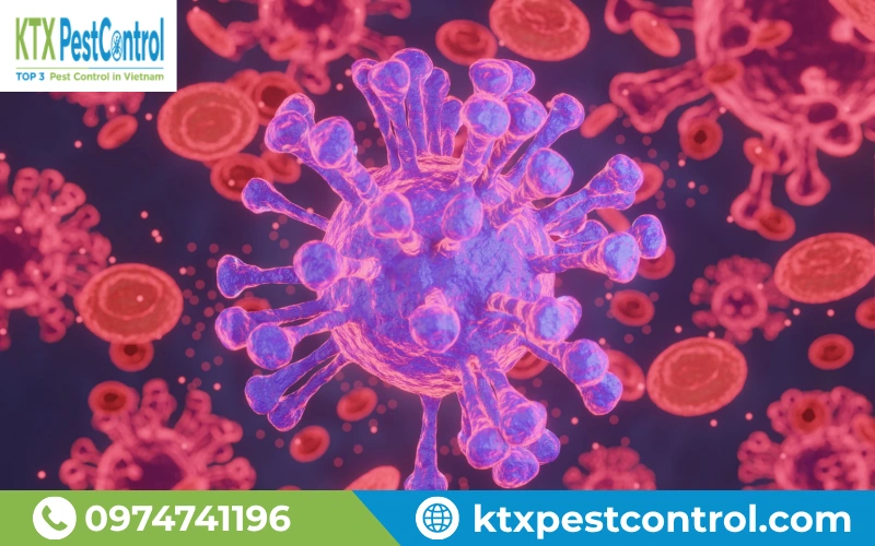 Vi khuẩn và virus có thể tồn tại trong môi trường sống và làm việc, làm gia tăng nguy cơ lây lan nếu không được kiểm soát phù hợp.