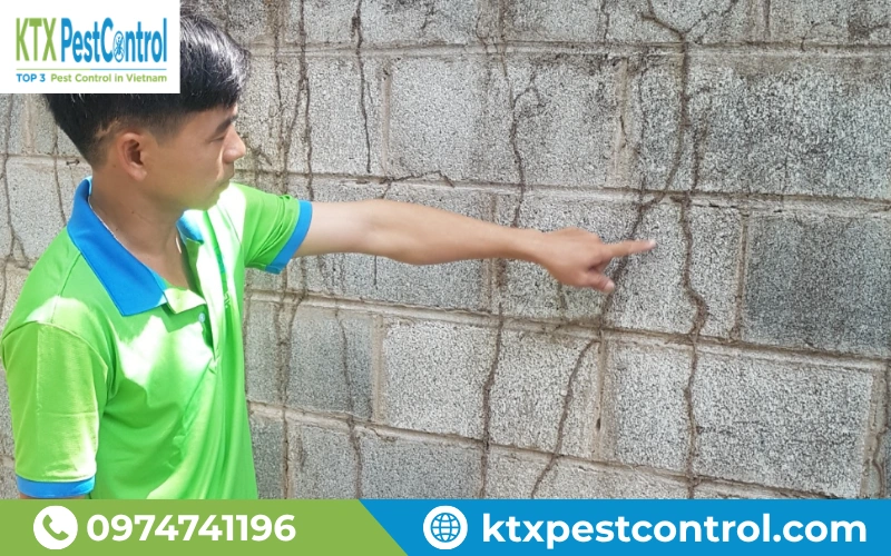 Xuất hiện đường mui đất trên tường