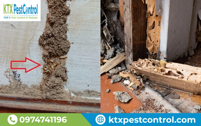 Các phương pháp thủ công thường chỉ xử lý được mối xuất hiện bên ngoài, khó loại bỏ hoàn toàn tổ mối.