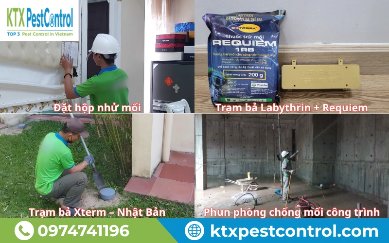 Dịch vụ diệt mối tại Đồng Nai giúp xử lý tận gốc tổ mối, bảo vệ công trình và tài sản 
