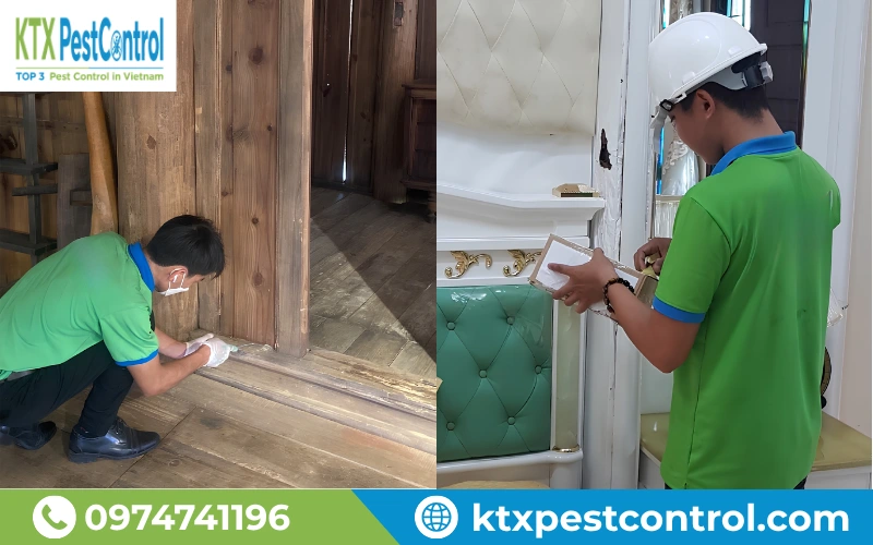 Hình ảnh đội ngũ kỹ thuật triển khai diệt mối tận gốc Đồng Nai theo đúng quy trình kỹ thuật