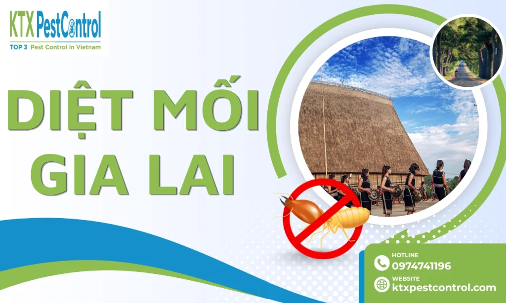Diệt Mối Gia Lai Tận Gốc, Bảo Hành Đến 5 Năm