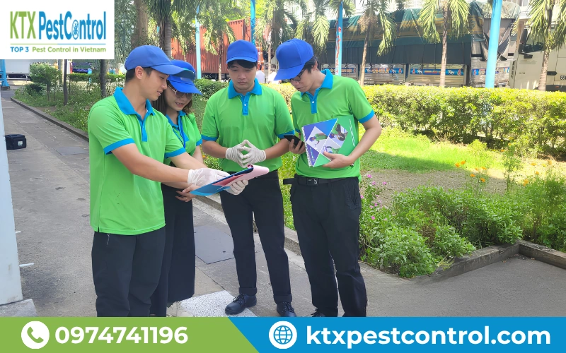 Dịch vụ diệt mối Hà Nam KTX  khảo sát miễn phí giúp xác định tình trạng và phương án xử lý mối