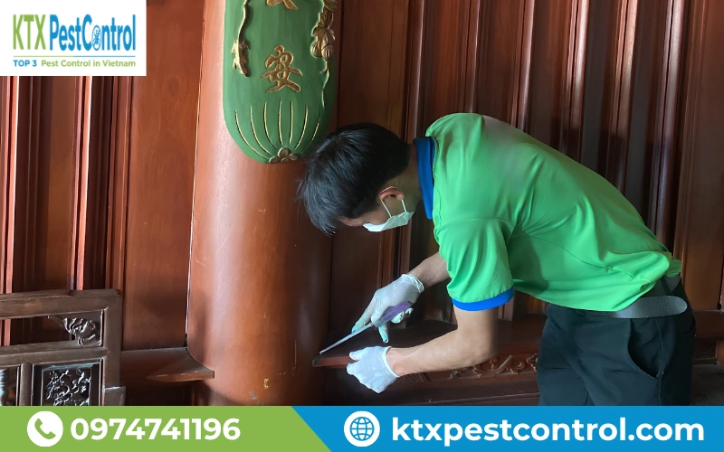 Quy trình diệt mối Hà Nam tại KTX được thực hiện bài bản từ khảo sát, xử lý đến nghiệm thu