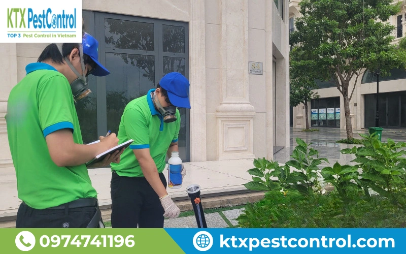 Công trình diệt mối Hà Nam được triển khai thực tế, giúp khách hàng yên tâm về hiệu quả xử lý