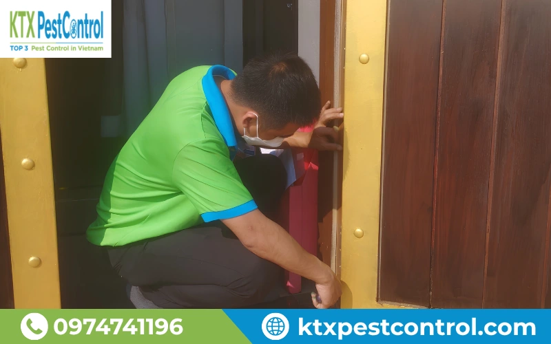 Các hạng mục bị mối xâm nhập được kiểm tra và xử lý theo đúng quy trình kỹ thuật 
