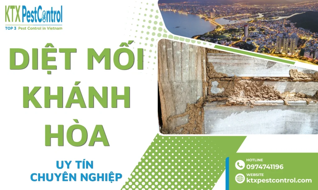 Dịch Vụ Diệt Mối Khánh Hòa Tận Gốc, Chuyên Nghiệp