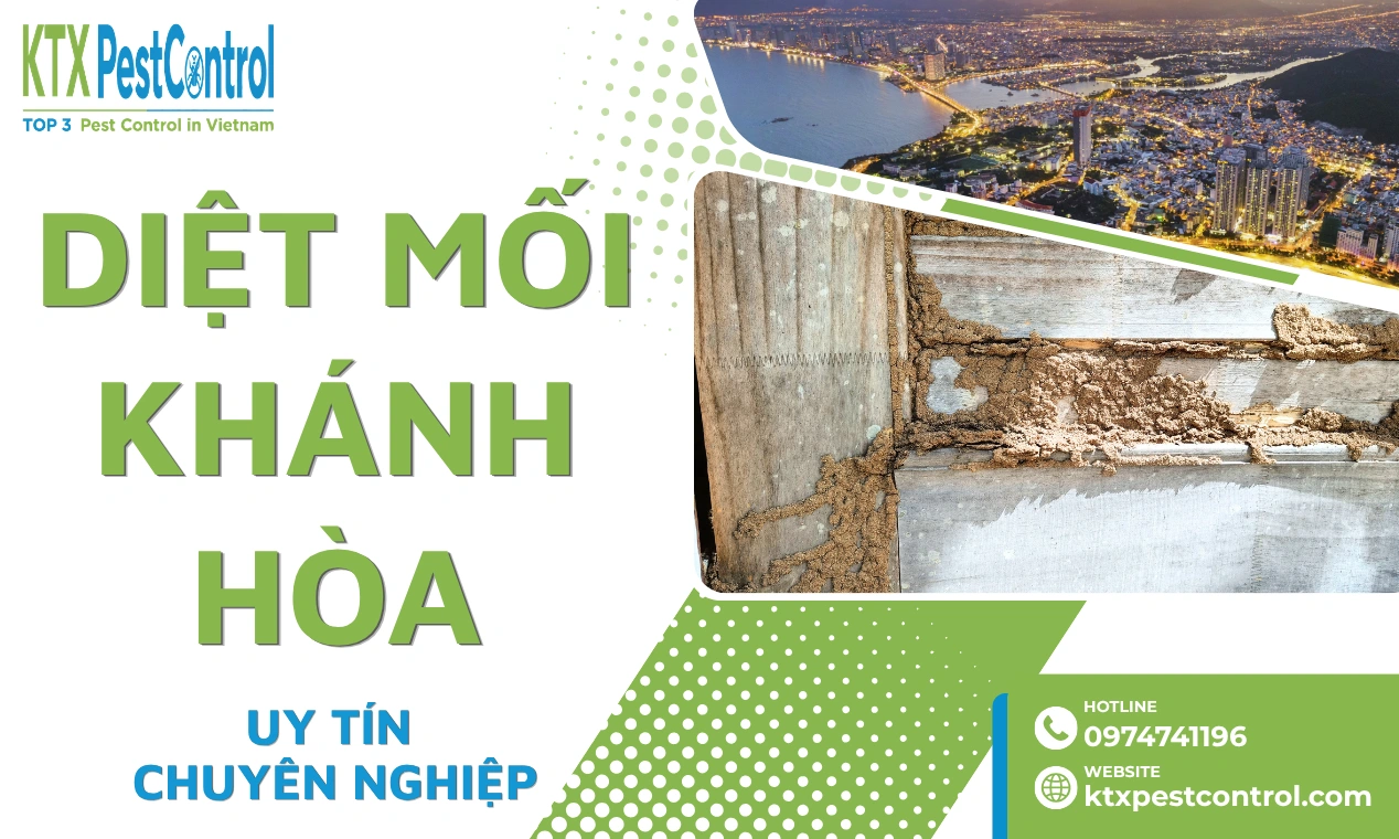 Dịch Vụ Diệt Mối Khánh Hòa Tận Gốc, Chuyên Nghiệp