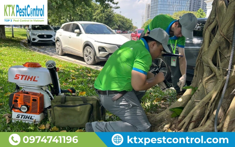 Đội ngũ kỹ thuật KTX kiểm tra và xử lý khu vực gốc cây bằng thiết bị chuyên dụng.