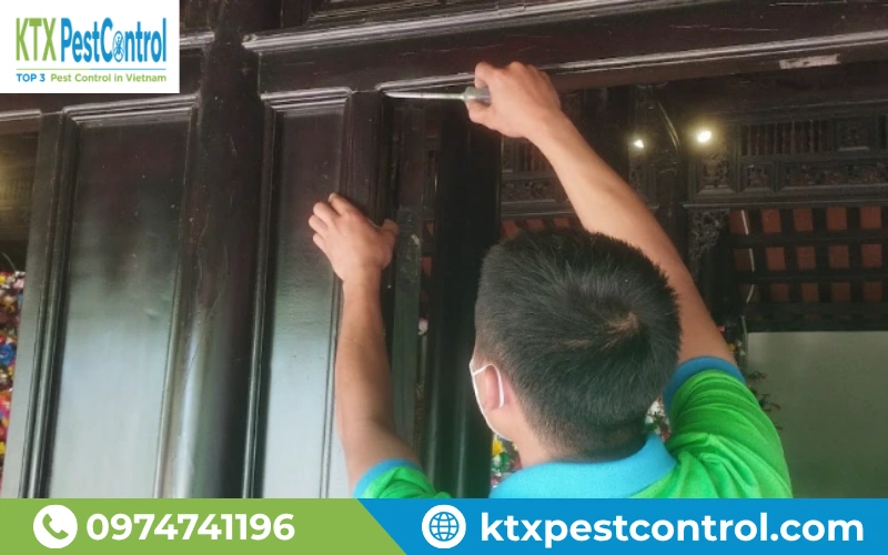 Quy trình diệt mối Lâm Đồng được thực hiện từ khảo sát, xử lý đến nghiệm thu theo đúng kỹ thuật