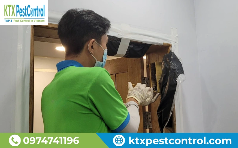 Diệt Côn Trùng KTX cam kết xử lý mối hiệu quả, bảo hành dài hạn, quy trình minh bạch