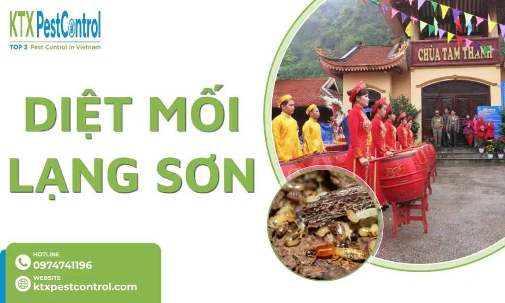 Diệt mối Lạng Sơn tận gốc, an toàn, bảo hành dài hạn