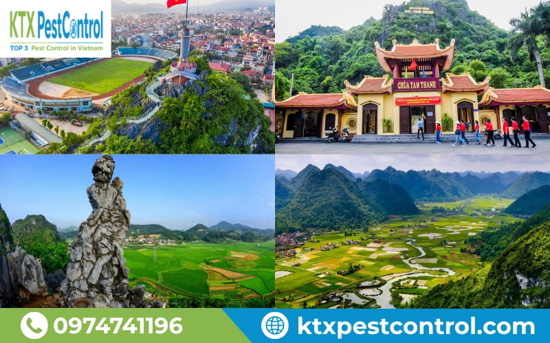 Dịch vụ diệt mối Lạng Sơn KTX khảo sát miễn phí, xác định vị trí mối xâm nhập và tư vấn phương án xử lý phù hợp.