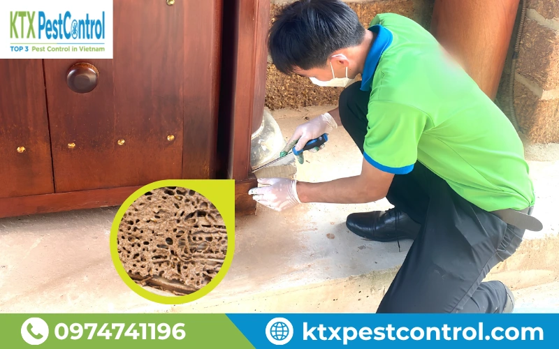 Đội ngũ kỹ thuật KTX triển khai diệt mối tại Lạng Sơn theo quy trình chuyên nghiệp, đảm bảo hiệu quả xử lý và bảo hành rõ ràng. 