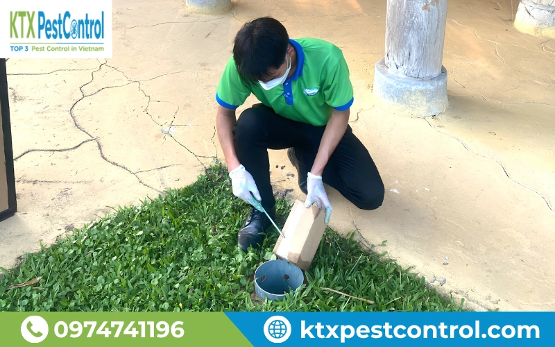 Đội ngũ kỹ thuật đặt hộp nhử mối hoặc lắp đặt hệ thống trạm bả tại những vị trí đã khảo sát.