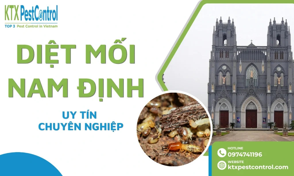 Diệt mối Nam Định: Xử lý đúng hiện trạng, bảo hành 1–5 năm