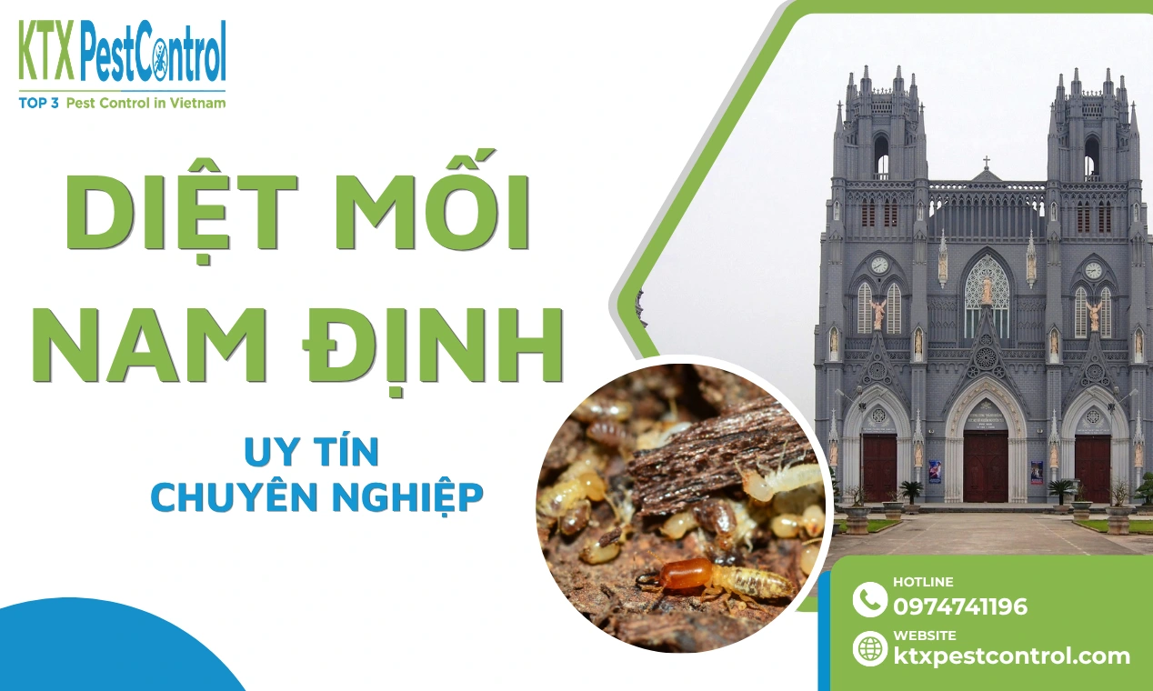 Diệt mối Nam Định: Xử lý đúng hiện trạng, bảo hành 1–5 năm