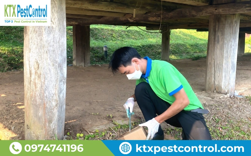 KTX xử lý tất cả phạm vi hoạt động của đàn mối từ sân vườn đến khu vực gỗ