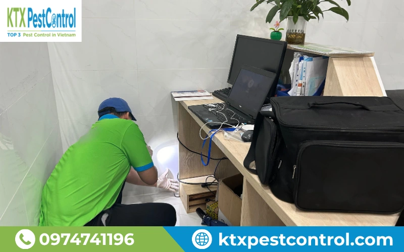 KTX nhận diệt mối tại văn phòng làm việc, nhà ở, nhà xưởng…