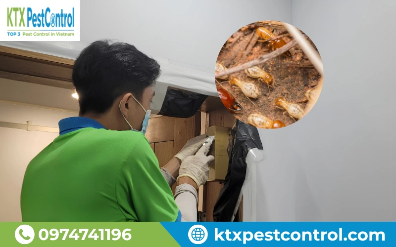 Phương pháp Labythrin (Ensytex) kết hợp bả nhử mối Requiem phù hợp với công trình lớn, yêu cầu tính thẩm mỹ cao
