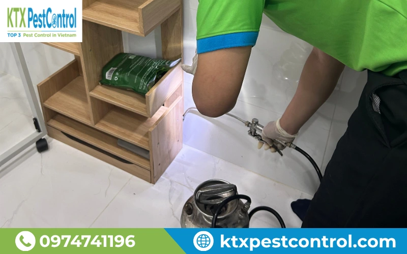 Kỹ thuật viên KTX kiểm tra kỹ phạm vi hoạt động của mối