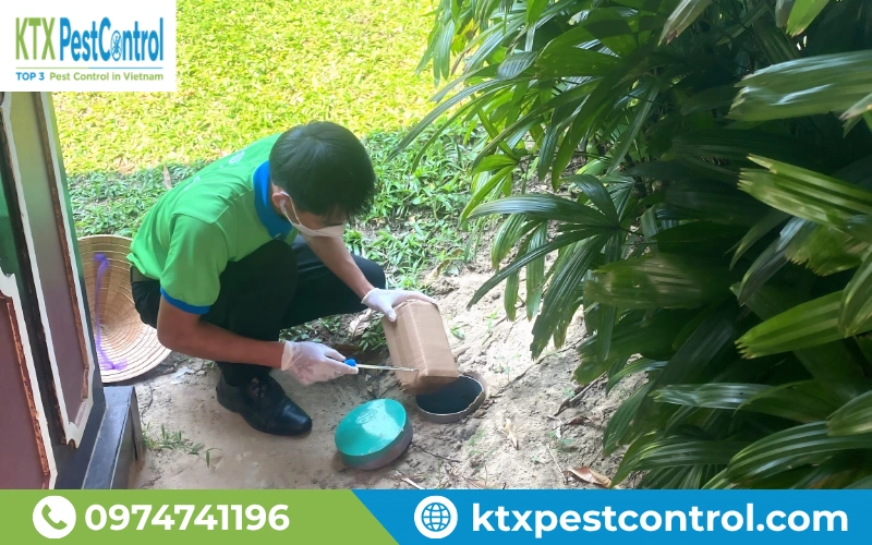 Diệt mối bằng hộp nhử giúp diệt mối tận gốc mà không cần đục phá công trình