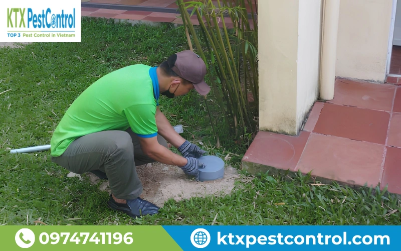 Kỹ thuật viên lắp đặt hệ thống trạm bả Xterm™ xử lý mối