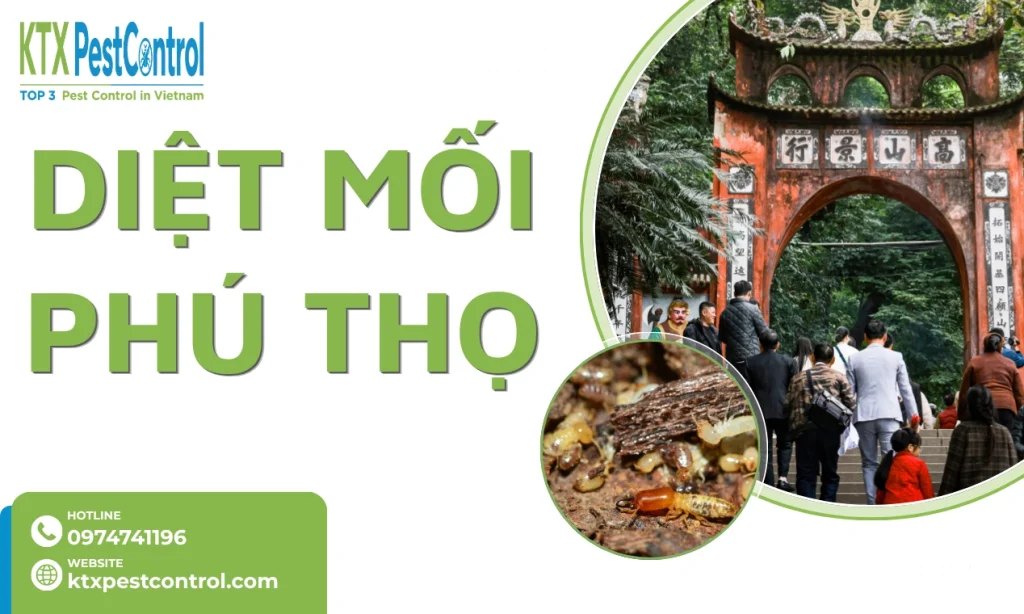 Dịch vụ diệt mối Phú Thọ tận gốc, uy tín, bảo hành đến 5 năm  