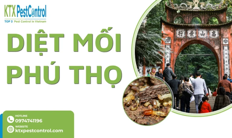 Dịch vụ diệt mối Phú Thọ tận gốc, uy tín, bảo hành đến 5 năm  