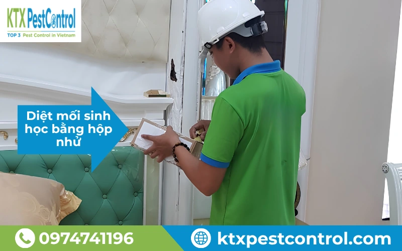 Diệt mối sinh học bằng hộp nhử