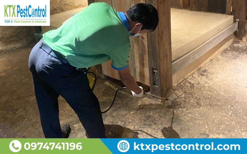 hun thuốc xử lý mối trực tiếp